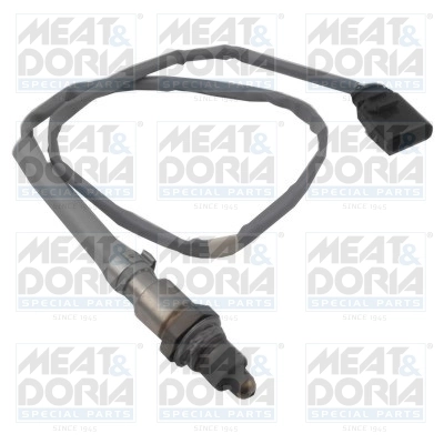 Oxygen Sensor